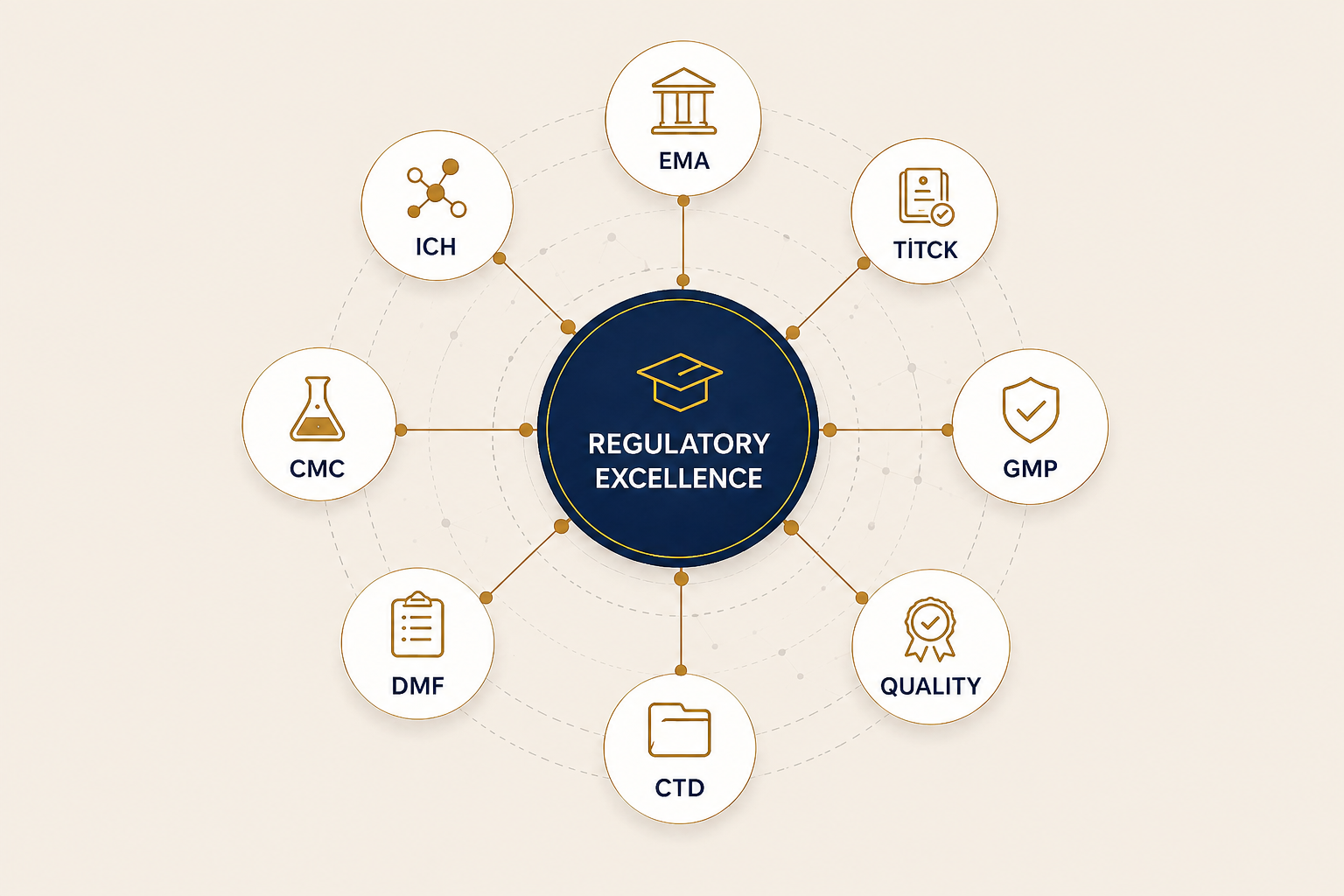 Regulatory Excellence Diyagramı